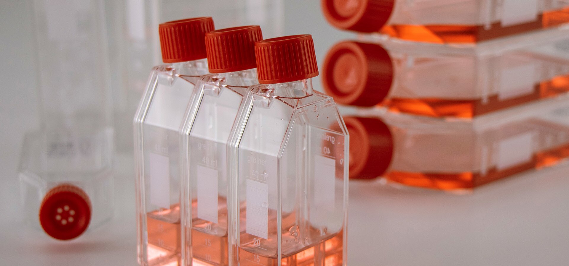 Home [bihomeq.co.mz]